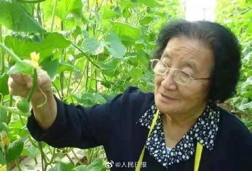 娱乐吃瓜酱不叠被子,揭秘明星不叠被子的秘密生活